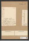 Toxarium undosum Grun. (de-Toni-Nr.: Genus 69, Species 2690) Zeichnungen Sammlung Grunow Nr. 5515 (NHMW-BOT-W0373963)